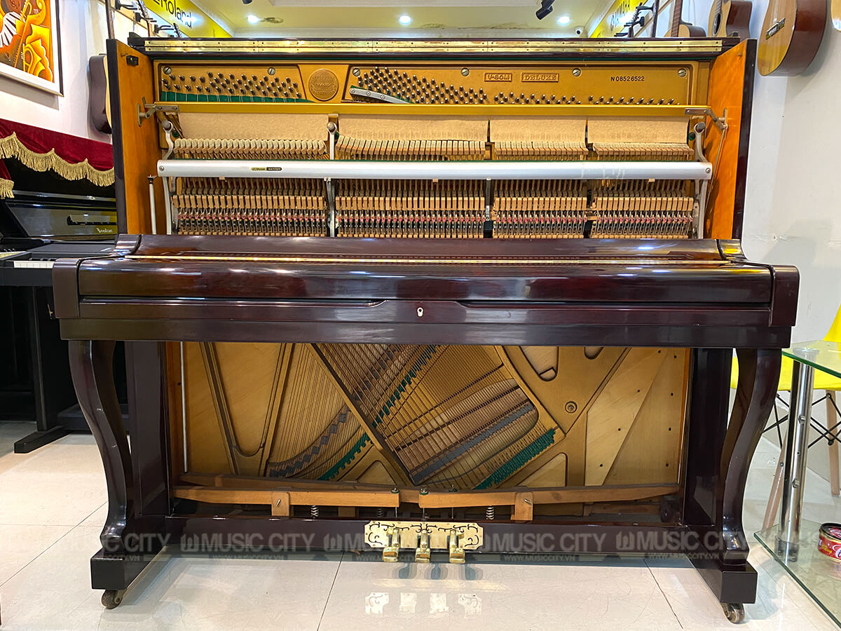 Music City – Tổng Kho Piano, Guitar, Organ | Dịch Vụ Giáo Dục Âm Nhạc