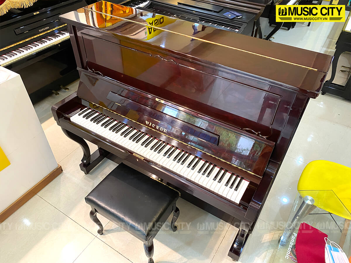 Music City – Tổng Kho Piano, Guitar, Organ | Dịch Vụ Giáo Dục Âm Nhạc