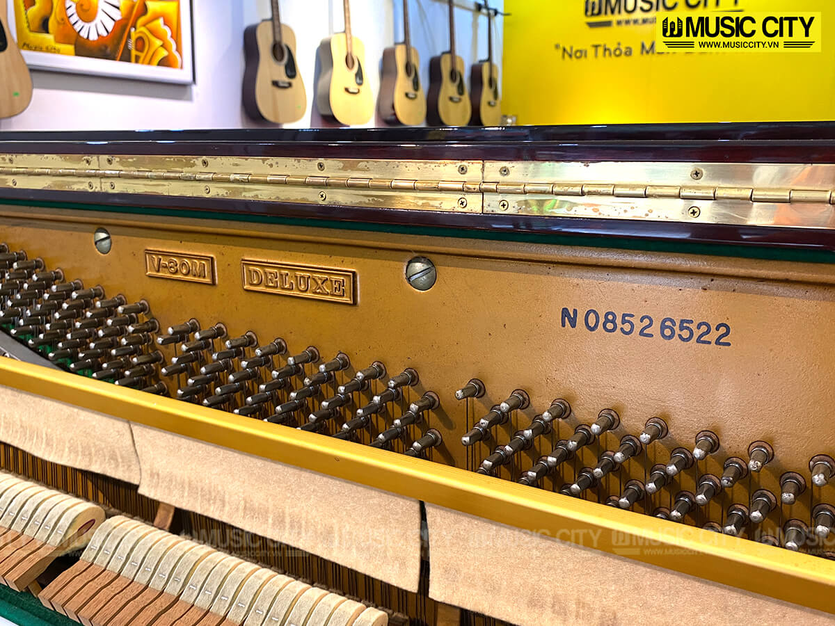 Music City – Tổng Kho Piano, Guitar, Organ | Dịch Vụ Giáo Dục Âm Nhạc