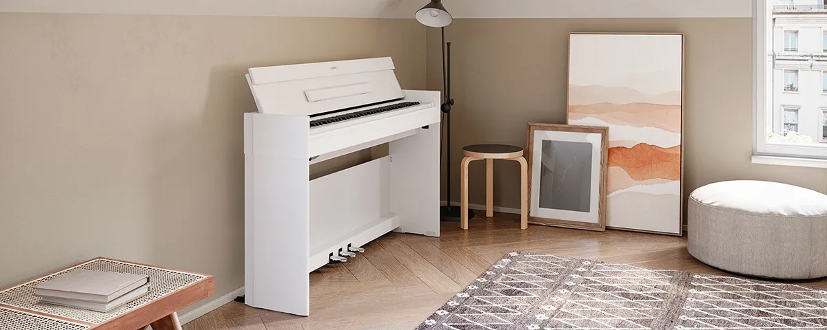 Music City – Tổng Kho Piano, Guitar, Organ | Dịch Vụ Giáo Dục Âm Nhạc