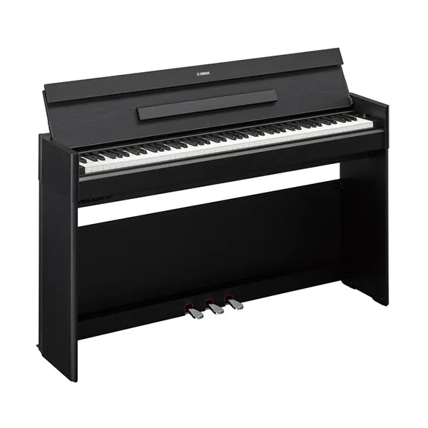 Music City – Tổng Kho Piano, Guitar, Organ | Dịch Vụ Giáo Dục Âm Nhạc