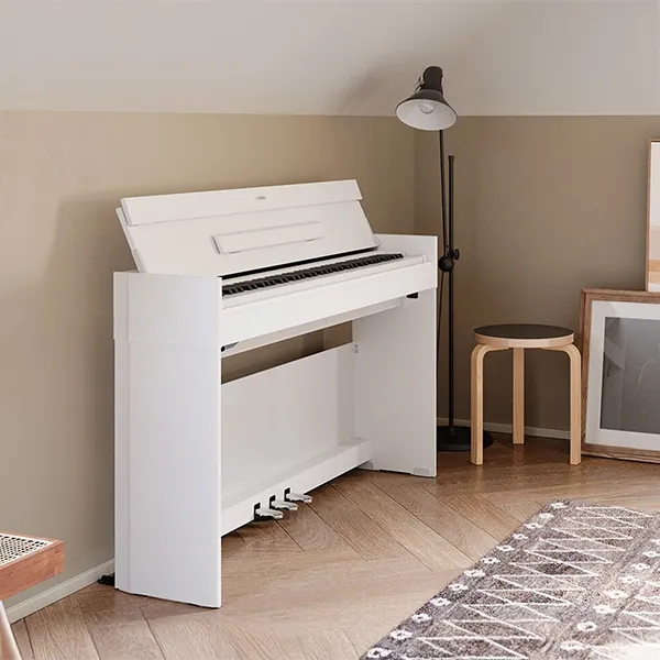 Music City – Tổng Kho Piano, Guitar, Organ | Dịch Vụ Giáo Dục Âm Nhạc