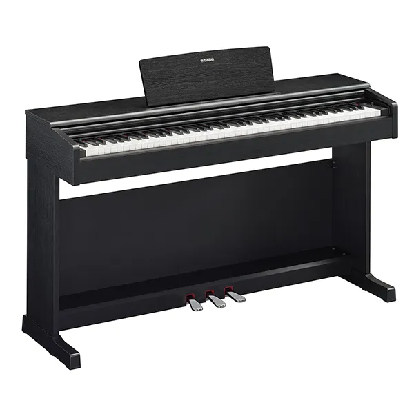 Music City – Tổng Kho Piano, Guitar, Organ | Dịch Vụ Giáo Dục Âm Nhạc