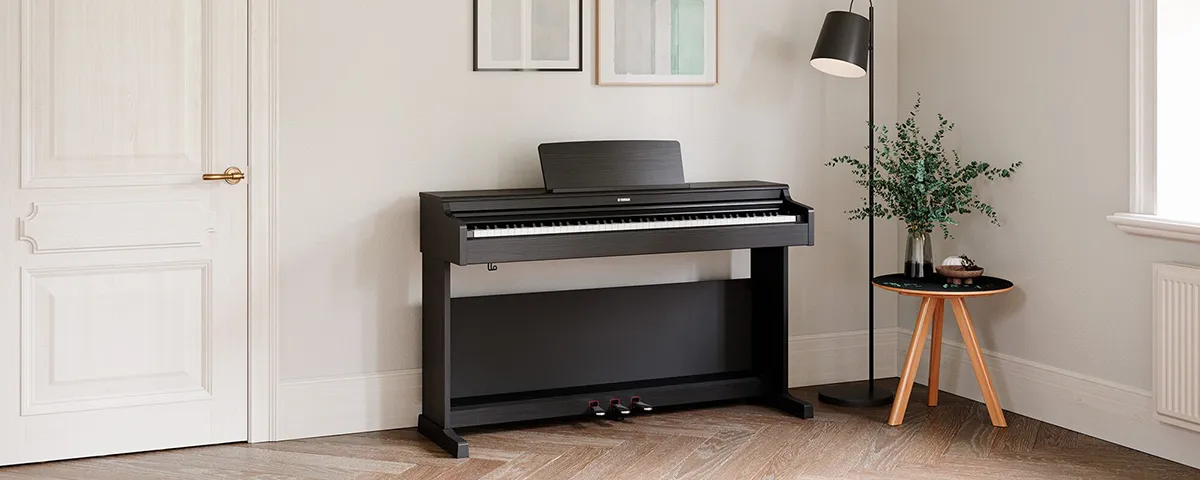 Music City – Tổng Kho Piano, Guitar, Organ | Dịch Vụ Giáo Dục Âm Nhạc
