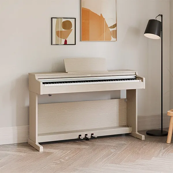Music City – Tổng Kho Piano, Guitar, Organ | Dịch Vụ Giáo Dục Âm Nhạc
