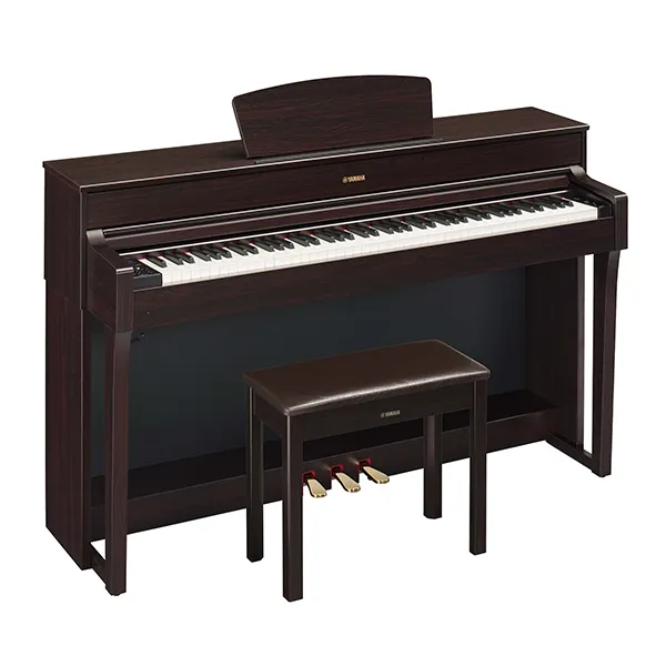 Music City – Tổng Kho Piano, Guitar, Organ | Dịch Vụ Giáo Dục Âm Nhạc
