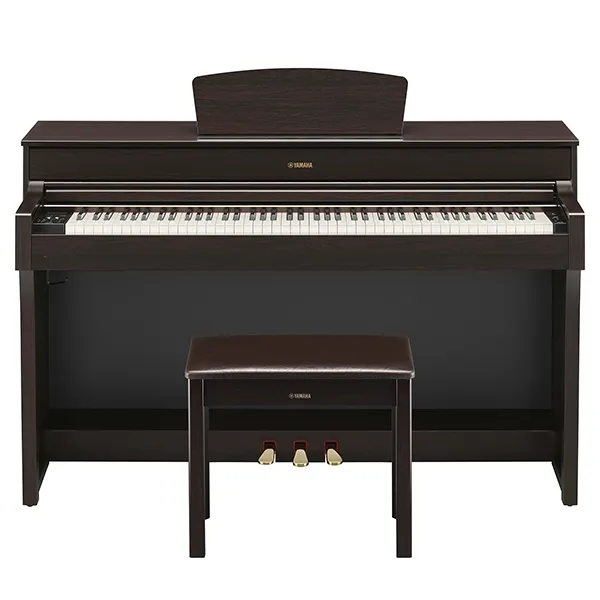 Music City – Tổng Kho Piano, Guitar, Organ | Dịch Vụ Giáo Dục Âm Nhạc