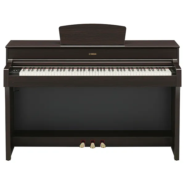 Music City – Tổng Kho Piano, Guitar, Organ | Dịch Vụ Giáo Dục Âm Nhạc