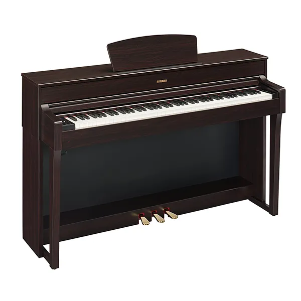 Music City – Tổng Kho Piano, Guitar, Organ | Dịch Vụ Giáo Dục Âm Nhạc