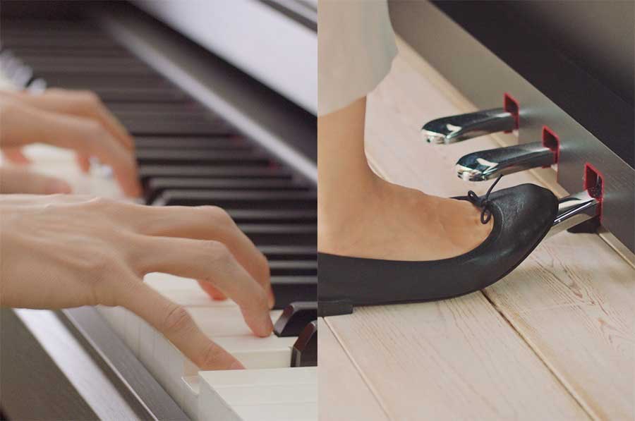 Music City – Tổng Kho Piano, Guitar, Organ | Dịch Vụ Giáo Dục Âm Nhạc