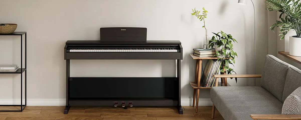 Music City – Tổng Kho Piano, Guitar, Organ | Dịch Vụ Giáo Dục Âm Nhạc