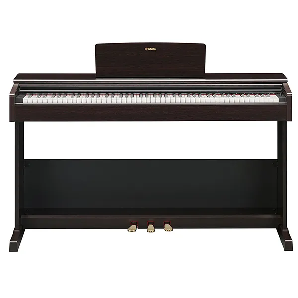 Music City – Tổng Kho Piano, Guitar, Organ | Dịch Vụ Giáo Dục Âm Nhạc