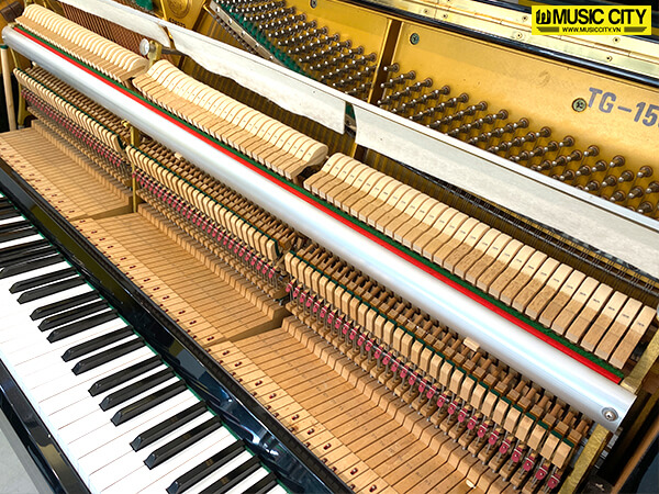 Music City – Tổng Kho Piano, Guitar, Organ | Dịch Vụ Giáo Dục Âm Nhạc