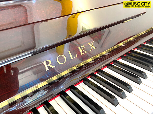 Music City – Tổng Kho Piano, Guitar, Organ | Dịch Vụ Giáo Dục Âm Nhạc