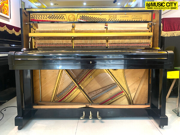 Music City – Tổng Kho Piano, Guitar, Organ | Dịch Vụ Giáo Dục Âm Nhạc