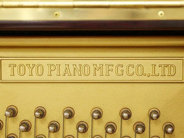 Music City – Tổng Kho Piano, Guitar, Organ | Dịch Vụ Giáo Dục Âm Nhạc