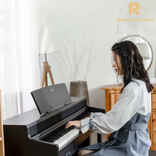 Music City – Tổng Kho Piano, Guitar, Organ | Dịch Vụ Giáo Dục Âm Nhạc