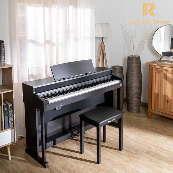 Music City – Tổng Kho Piano, Guitar, Organ | Dịch Vụ Giáo Dục Âm Nhạc