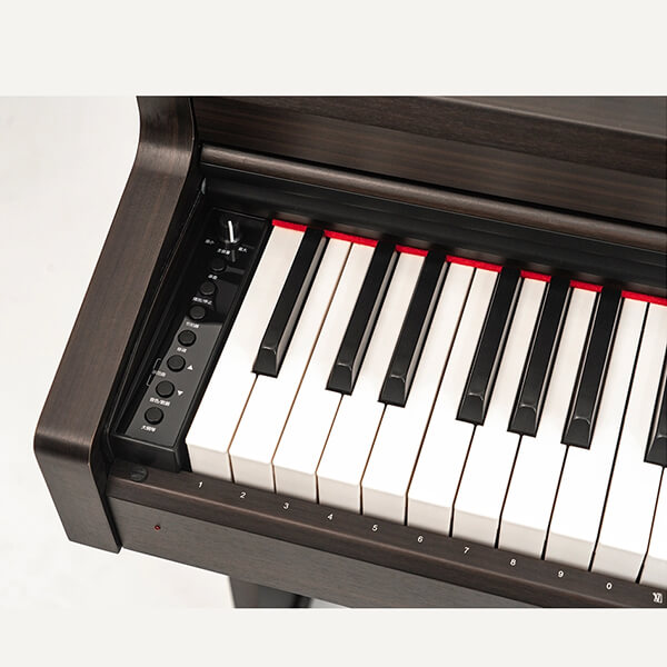 Music City – Tổng Kho Piano, Guitar, Organ | Dịch Vụ Giáo Dục Âm Nhạc