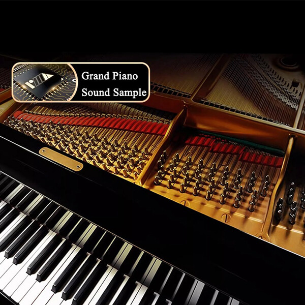 Hình ảnh đàn piano flykeys fd05 tại Music city - Ảnh musiccity.vn