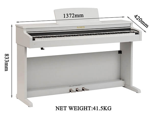Hình ảnh đàn piano flykeys fd05 tại Music city - Ảnh musiccity.vn