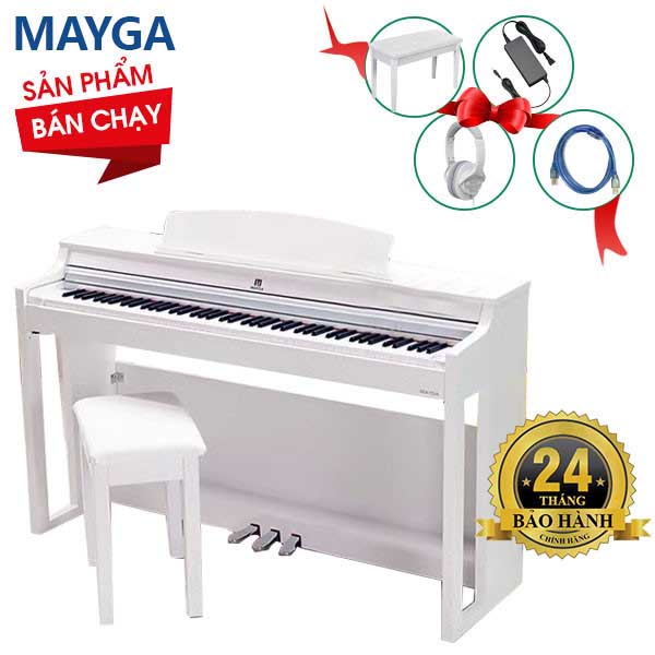 Music City – Tổng Kho Piano, Guitar, Organ | Dịch Vụ Giáo Dục Âm Nhạc
