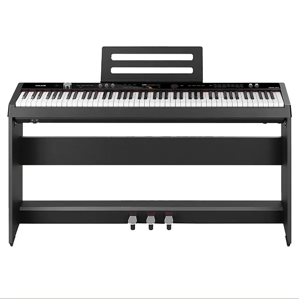 Music City – Tổng Kho Piano, Guitar, Organ | Dịch Vụ Giáo Dục Âm Nhạc