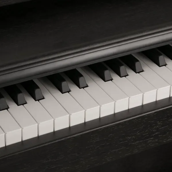 Music City – Tổng Kho Piano, Guitar, Organ | Dịch Vụ Giáo Dục Âm Nhạc