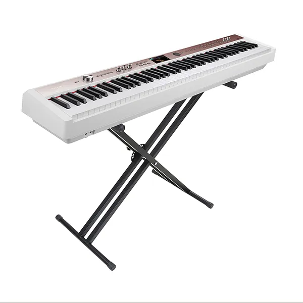 Music City – Tổng Kho Piano, Guitar, Organ | Dịch Vụ Giáo Dục Âm Nhạc