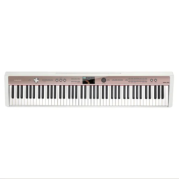 Music City – Tổng Kho Piano, Guitar, Organ | Dịch Vụ Giáo Dục Âm Nhạc