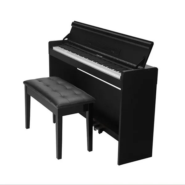 Music City – Tổng Kho Piano, Guitar, Organ | Dịch Vụ Giáo Dục Âm Nhạc