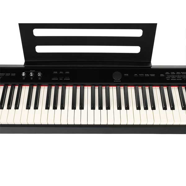 Music City – Tổng Kho Piano, Guitar, Organ | Dịch Vụ Giáo Dục Âm Nhạc