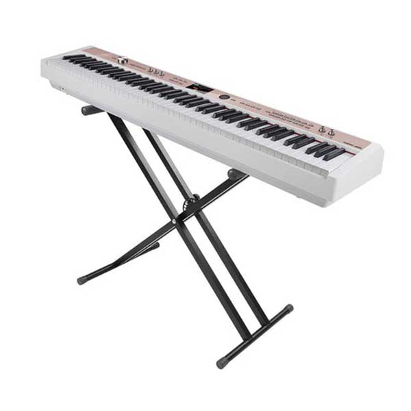 Music City – Tổng Kho Piano, Guitar, Organ | Dịch Vụ Giáo Dục Âm Nhạc