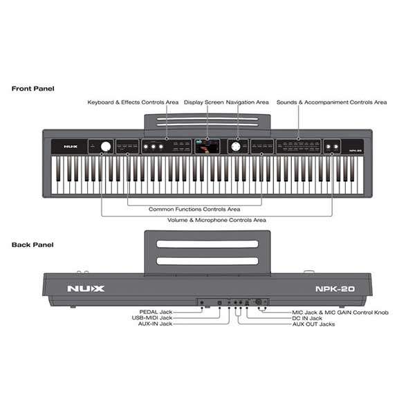 Music City – Tổng Kho Piano, Guitar, Organ | Dịch Vụ Giáo Dục Âm Nhạc