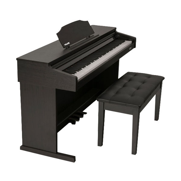 Music City – Tổng Kho Piano, Guitar, Organ | Dịch Vụ Giáo Dục Âm Nhạc