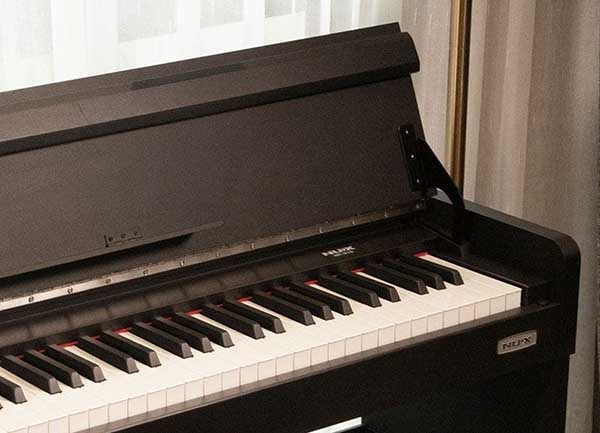 Music City – Tổng Kho Piano, Guitar, Organ | Dịch Vụ Giáo Dục Âm Nhạc