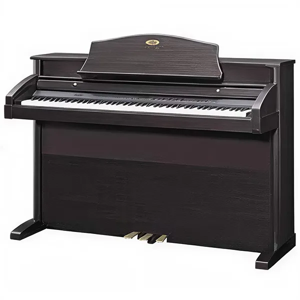 Music City – Tổng Kho Piano, Guitar, Organ | Dịch Vụ Giáo Dục Âm Nhạc