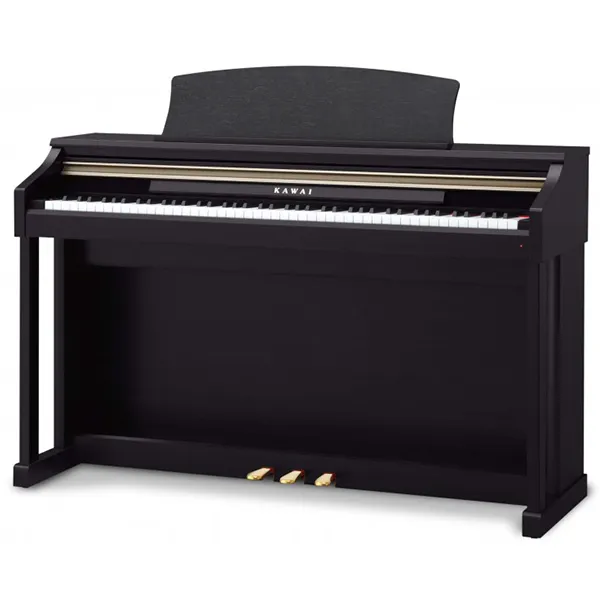 Music City – Tổng Kho Piano, Guitar, Organ | Dịch Vụ Giáo Dục Âm Nhạc