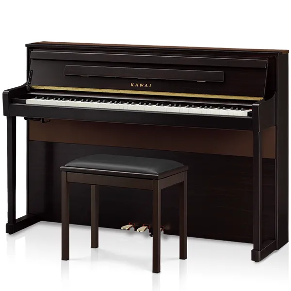 Music City – Tổng Kho Piano, Guitar, Organ | Dịch Vụ Giáo Dục Âm Nhạc