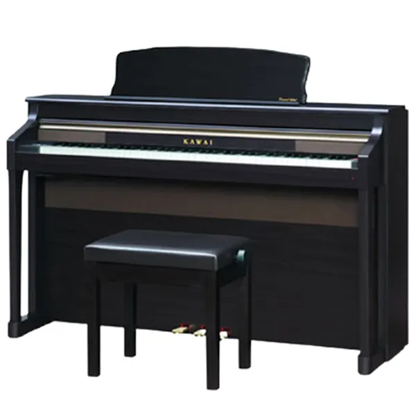 Music City – Tổng Kho Piano, Guitar, Organ | Dịch Vụ Giáo Dục Âm Nhạc