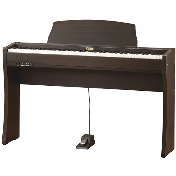 Music City – Tổng Kho Piano, Guitar, Organ | Dịch Vụ Giáo Dục Âm Nhạc