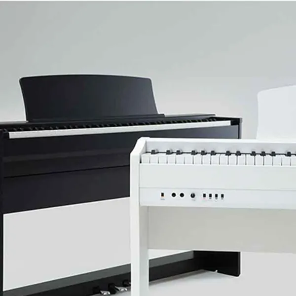 Music City – Tổng Kho Piano, Guitar, Organ | Dịch Vụ Giáo Dục Âm Nhạc