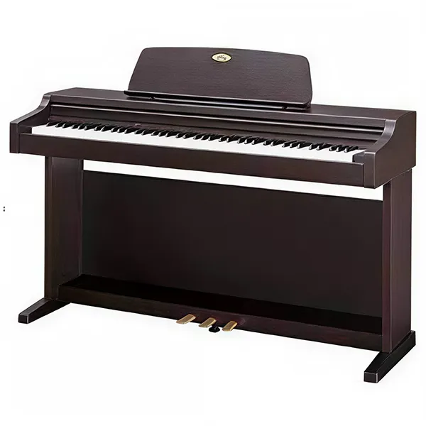 Music City – Tổng Kho Piano, Guitar, Organ | Dịch Vụ Giáo Dục Âm Nhạc