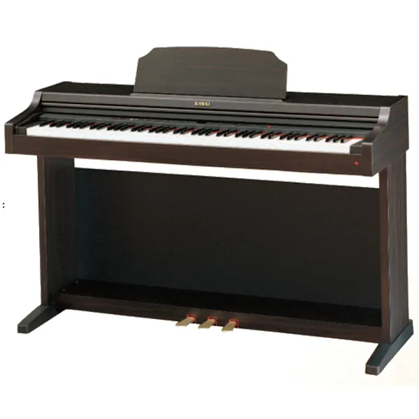 Music City – Tổng Kho Piano, Guitar, Organ | Dịch Vụ Giáo Dục Âm Nhạc