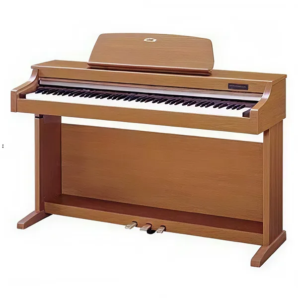 Music City – Tổng Kho Piano, Guitar, Organ | Dịch Vụ Giáo Dục Âm Nhạc
