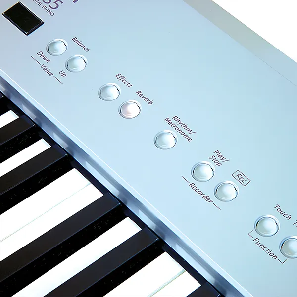 Music City – Tổng Kho Piano, Guitar, Organ | Dịch Vụ Giáo Dục Âm Nhạc