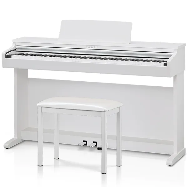 Music City – Tổng Kho Piano, Guitar, Organ | Dịch Vụ Giáo Dục Âm Nhạc