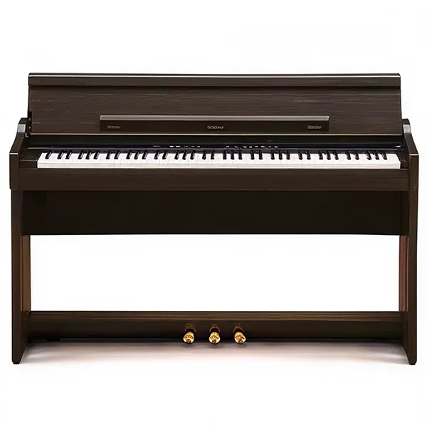 Music City – Tổng Kho Piano, Guitar, Organ | Dịch Vụ Giáo Dục Âm Nhạc