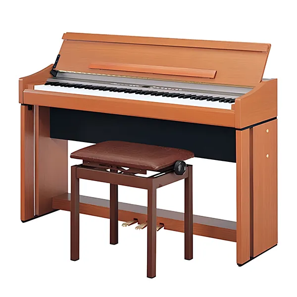 Music City – Tổng Kho Piano, Guitar, Organ | Dịch Vụ Giáo Dục Âm Nhạc