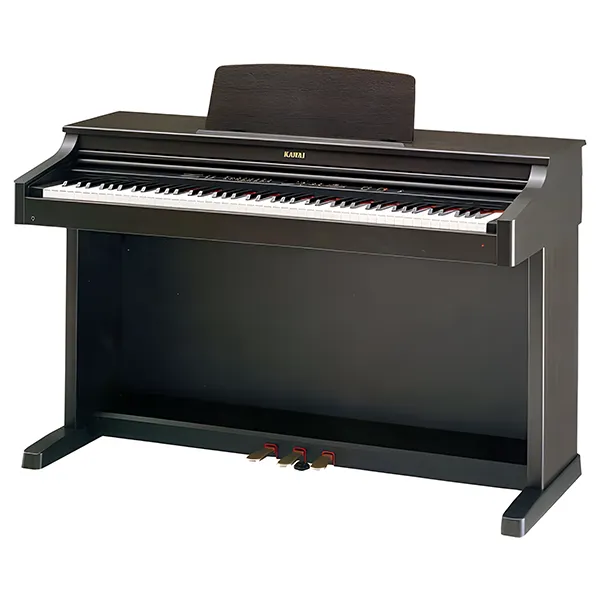 Music City – Tổng Kho Piano, Guitar, Organ | Dịch Vụ Giáo Dục Âm Nhạc